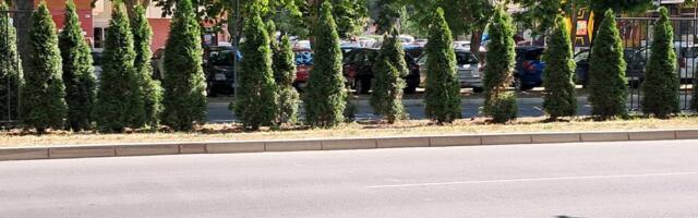 „Parking servis“ menja oštećenu zaštitnu ogradu na Bulevaru u Nišu