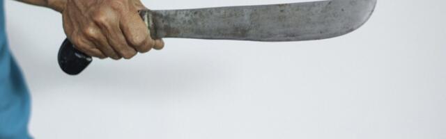 HOROR u Zemunu: Posekao čoveka i sa krvavom mačetom trčao po naselju