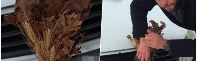 "Badnjak nije amajlija i neće vas zaštititi od udesa!": Teolog oštro o masovnom trendu vozača i pogrešnom verovanju