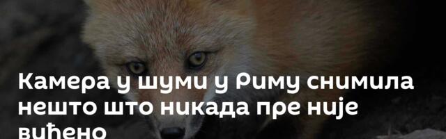 Камера у шуми у Риму снимила нешто што никада пре није виђено