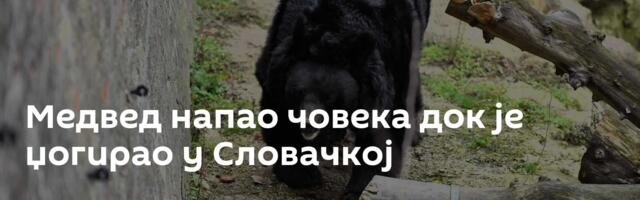 Медвед напао човека док је џогирао у Словачкој