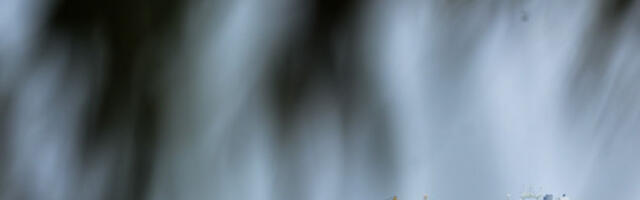 Персијски залив: 20.000 помораца заробљено због сукоба