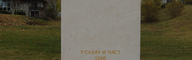 INTERVJU NEBOJŠA SAVOVIĆ NES: Moja kamena misija