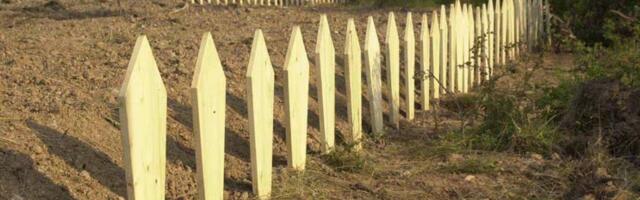 Ubistvo braće Bitići: SAD ponovo pozivaju Srbiju da ubice privede pravdi