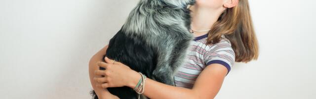 Ovo su četiri najpametnije rase pasa – koja je vaš favorit?