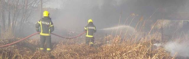 Za 10 godina u Subotici registrovano skoro 2.800 požara na otvorenom