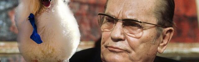 "TITOVA PUDLICA KRENULA DA ME UJEDE" Pred maršalom se odigrao pravi cirkus, a ona je mislila samo na OVO!