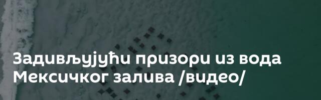 Задивљујући призори из вода Мексичког залива /видео/