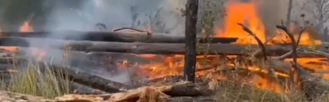 LOŠA VEST U ČERNOBILJU: Još se gase mesta sa tinjajućim požarima