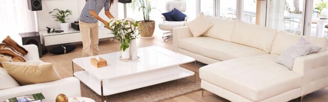 Koje biljke prema feng šuiju treba da imate u stanu ako želite više novca i stabilnost u budžetu