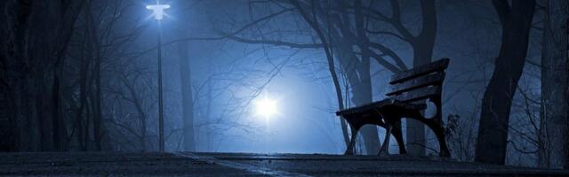 Uzbuna u Petrovcu na Mlavi!: Opasna zverka vreba iz mraka