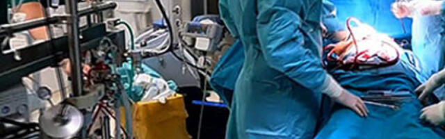 Истрага фокусирана на контејнер за транспорт