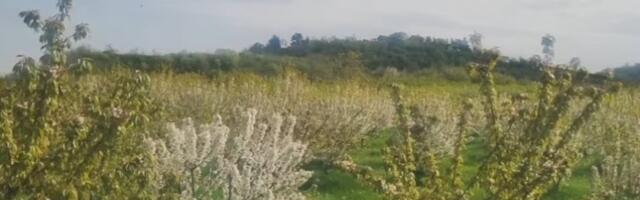 Uživa u prirodi: Glumac nakon razvoda od koleginice boravi na selu