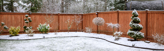 Mislite na vreme o svojoj bašti i pripremite je za dolazak zime