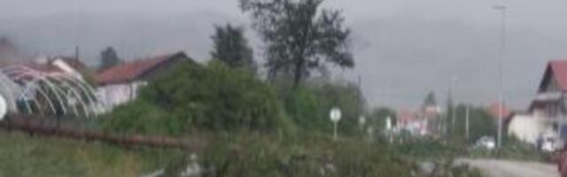Drveće čupalo iz korena! Nevreme opustošilo ovaj grad u Srbiji! Snimci su zastrašujući
