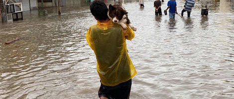 Deseci mrtvih u tajfunu Goni, Filipini se pripremaju za novu oluju