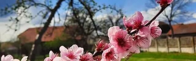 Sunce vas podiže, ali telo oseća zahlađenje koje dolazi - evo ko će najviše osetiti: Bioprognoza za 9. april