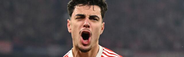 Stop Realu i Sitiju za Pavlovića!