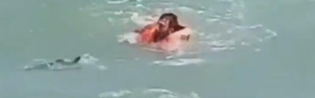 Kad mladići panično beže od foke (VIDEO)