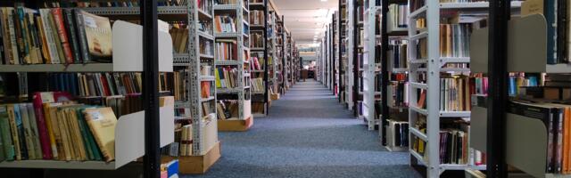 Večeras u galeriji Narodne biblioteke promocija zbirke pesama