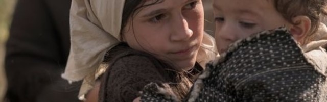 Drina, čija je majka bila u Jasenovcu napisala je: Kritikom "Dare" zgazili ste na smrt i patnje tolikog broja preživelih