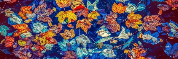 Horoskop otkriva: šta možemo očekivati od oktobra 2020?