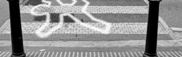 Hitni apel MUP-a: Vozači, usporite! Pešaci, obeležite se! Sačuvajmo živote u večernjim satima