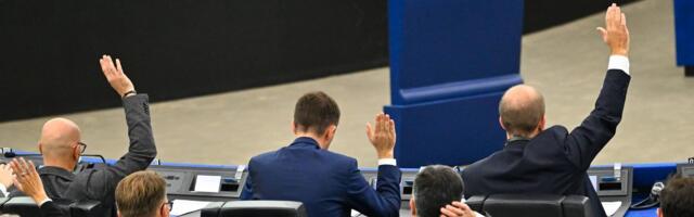 Potpredsednica Socijalista i demokrata u EP: Ne treba nam kampanja Srbije u Briselu