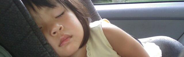 Više od 1.000 besplatnih auto-sedišta podeljeno u Obrenovcu: Akcija traje četvrtu godinu zaredom