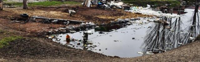 Ima li kraja ludilu? Čovek izgradio nelegalnu farmu na državnom zemljištu u Smederevu, i to nije najgore (FOTO)