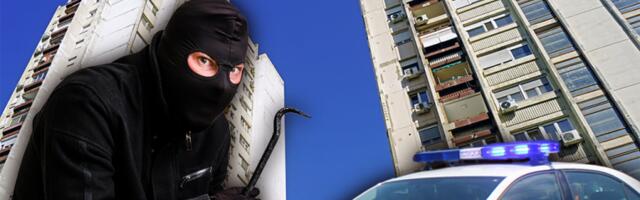 KRENUO U PLJAČKU, PA JEDVA IZVUKAO ŽIVU GLAVU! Policija razvalila kapiju da spasi lopova koji je krvario!