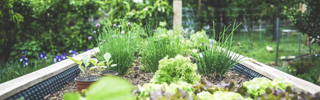 Bašta za decu – Kako da je napravite