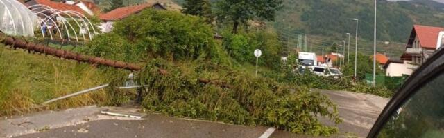 Orkanski vetar čupao drveće! Prvo je kiša krenula da lije kao iz kabla, a onda se smračilo (VIDEO)