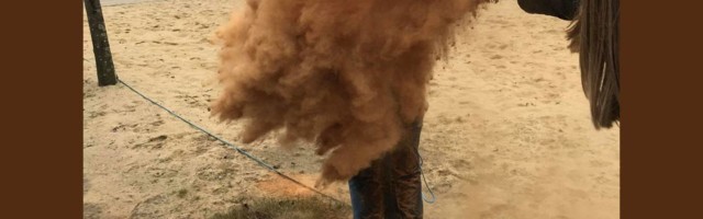 Ako niste udate do 25. godine u ovoj zemlji će vas posuti vodom, cimetom ili biberom