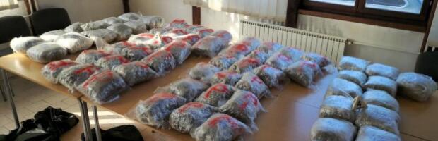 PUN AUTOMOBIL DROGE Crnogorac uhapšen u Pazaru sa 70 kilograma marihuane