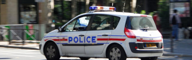 HOROR! DECA IZBODENA NA IGRALIŠTU! Povrede zadobilo četvoro mališana i dvoje odraslih