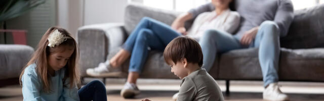 Novi Pazar, Tutin i Sjenici na vrhu po broju članova domaćinstva