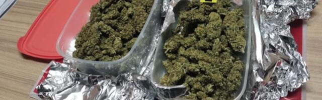 Hapšenje zbog marihuane u Prijepolju