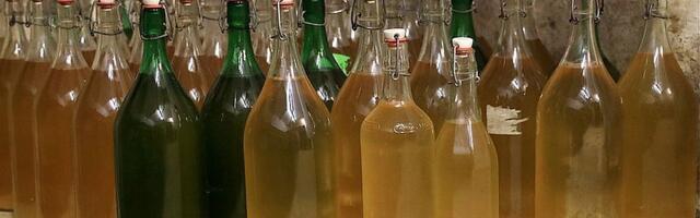 SZO: Od posledica konzumiranja alkohola u EU godišnje umre 800.000 ljudi