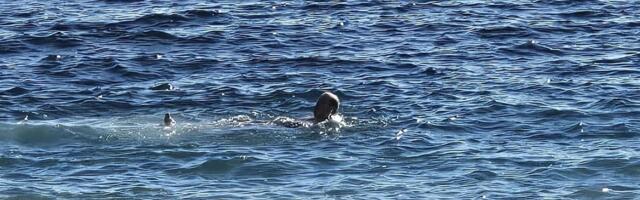 Nestvarne slike sa crnogorskog primorja! Prizori kao da je početak jula, a ne januara: Sve vrvi od kupača
