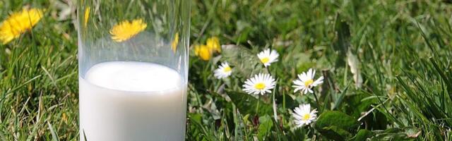 Ministarstvo poljoprivrede: Pratićemo stanje na tržištu mleka i prilagođavati mere