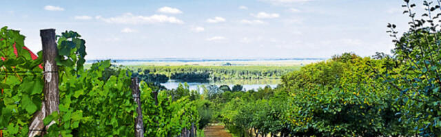 Министарство пољопривреде честитало виноградарима и винарима Светог Трифуна