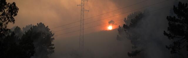 "Evropa je opasno nepripremljena na ono što je čeka ovog leta": EU je neophodna nova strategija