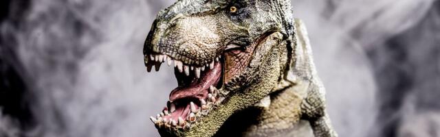 UPRAVO JE LANSIRAN NOVI HIT Predstavljena torba iz laboratorije, "original" tiranosaurus reks!