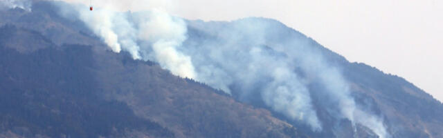 Горе шуме на североистоку Јапана