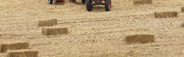 Пољопривредницима у ЕУ потребна хитна помоћ због раста трошкова