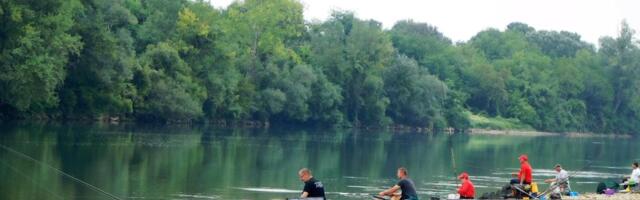 "MISLIO SAM DA U TAMIŠU NEMA NI KEDERA, A ONO NEMAN" Šok ulov kod pančeva: Ribolovac izvukao GIGANTA na ušću Tamiša u Dunav, OVA SLIKA IZAZIVA NEVERICU (FOTO)