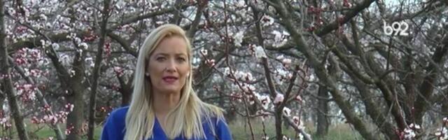 Ucvetale kajsije najavile dolazak proleća pre kalendara