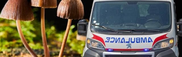JEDNA OSOBA VEĆ JE PREMINULA: Izdato hitno upozorenje zbog trovanja gljivama!