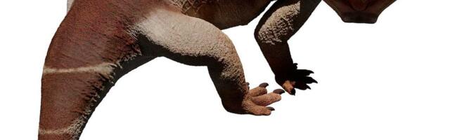 Brazilsko nalazište fosila dalo je dosad najmanji fosil rinhosaurusa